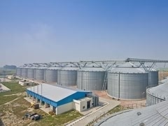build a local silo for maize