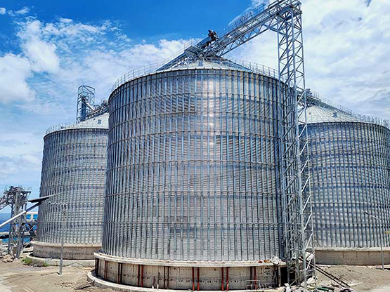 the Philippines 4x10,000T Corn Silos Project