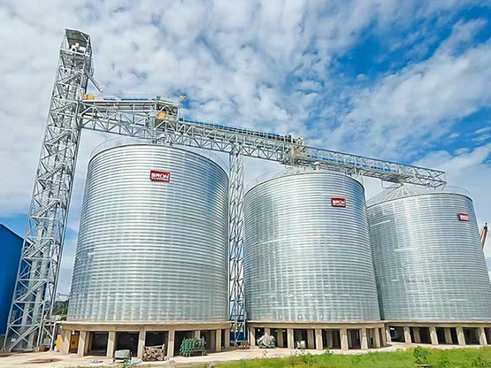 Malaysia 3x5000T Wood Pellet Silo Project