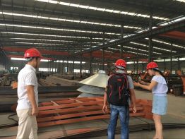 Client Form Vietnam Visited SRON