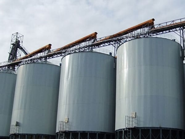 Professional Grain Silo  Manufacturer