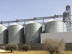 Large Grain Silos 1000ton Capacity