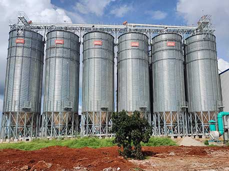 Vietnam 12x500T Coffee Bean Steel Silo Project