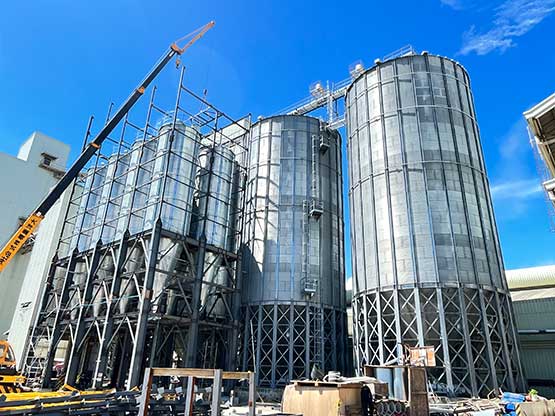 the Philippines Feed Pellet Silos Project
