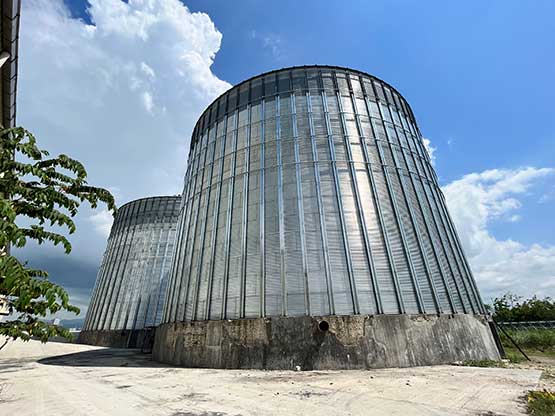 the Philippines 2x10,000T Grain Steel Silos Project