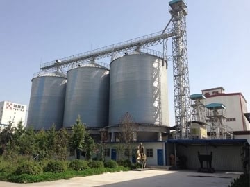 Cereal Silo for Food Processing Plant