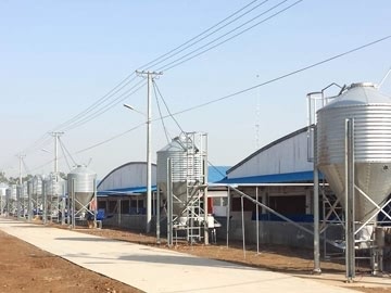 Poultry Feed Silo