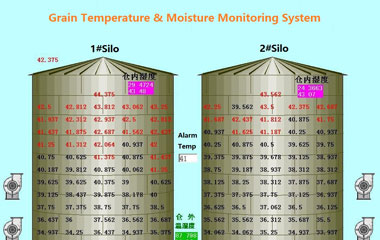 GRAIN SILO HANDLING SYSTEM